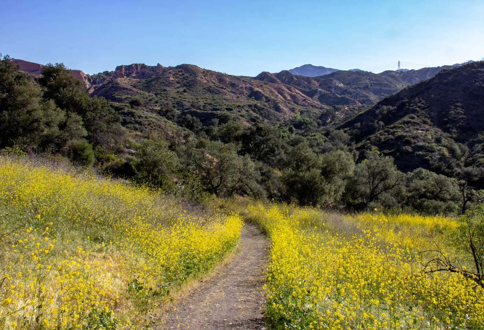 An image depicting the trail Red Rock Trail via Borrego Canyon Trail and its surrounding area.