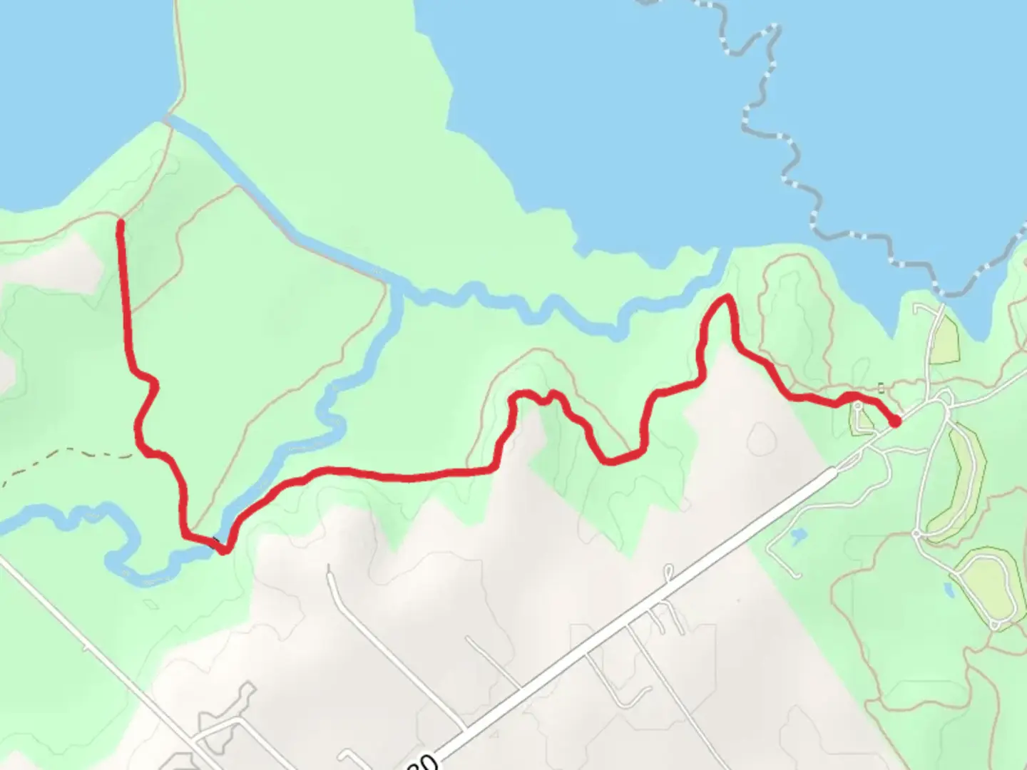 An image depicting the trail Lake Somerville Trailway and its surrounding area.