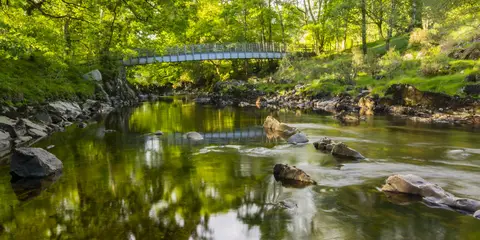 An image depicting the trail Rhaeadr Ddu and Coed Ganllwyd Walk and its surrounding area.