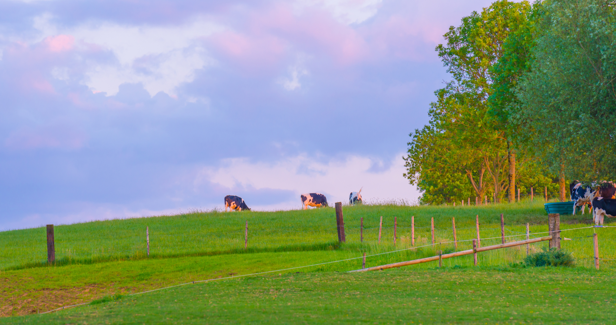 An image depicting the trail Eijsden - Margraten and Bovenhoutwandeling Loop and its surrounding area.