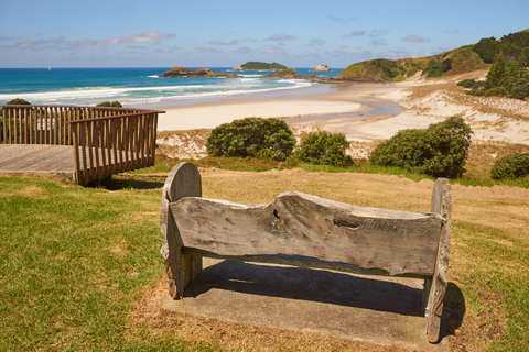 Te Araroa North Island