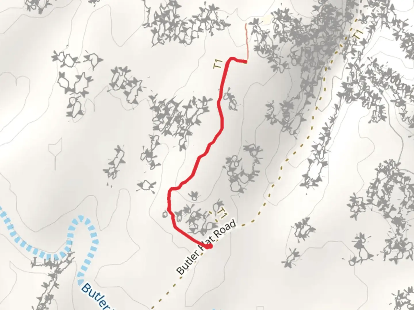 An image depicting the trail Horse Hoof Campground Road Trail and its surrounding area.