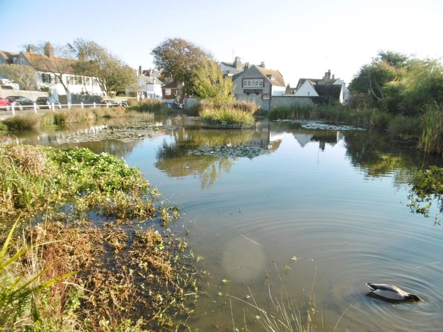 An image depicting the trail Kipling's Walk Leaflet and its surrounding area.