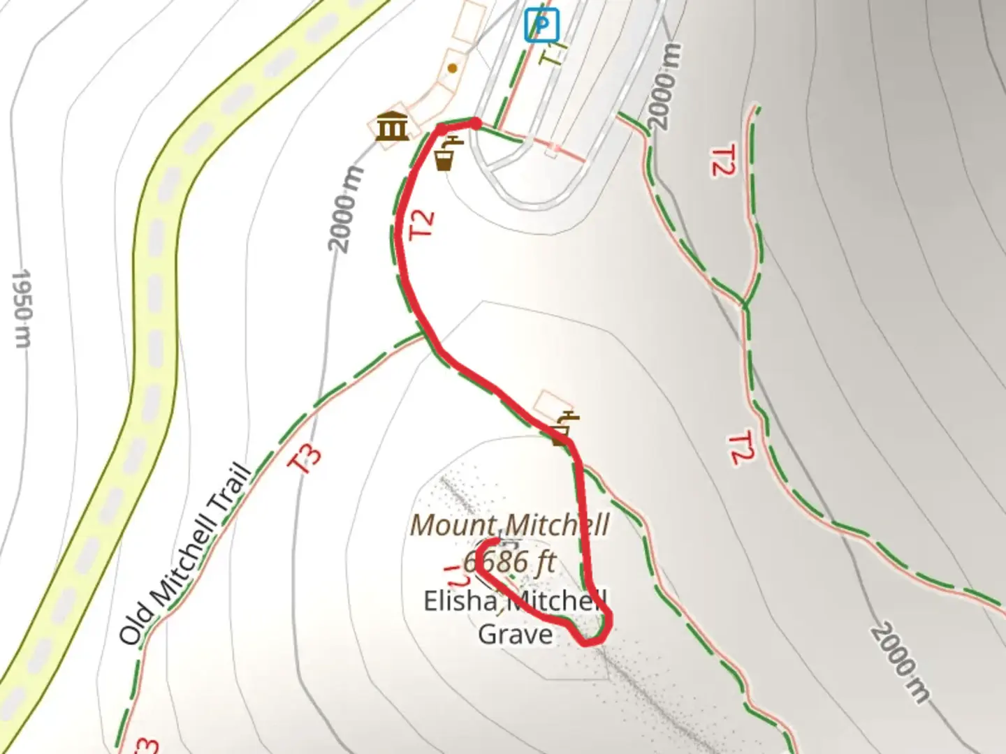 An image depicting the trail Mount Mitchell Summit Trail and its surrounding area.