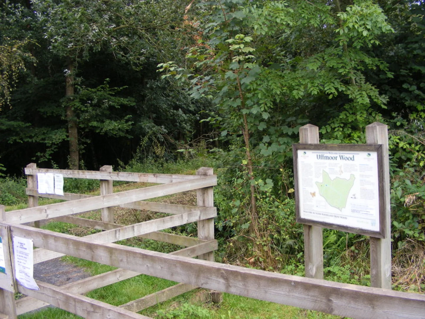 An image depicting the trail Uffmoor Wood Loop and its surrounding area.