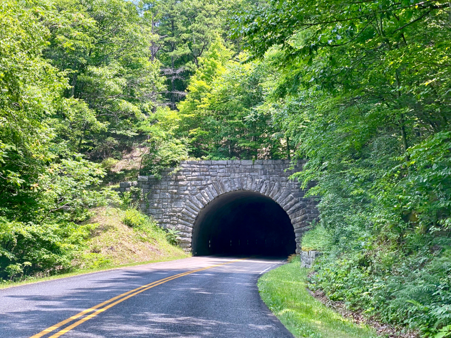 An image depicting the trail Saddle Gap Trail via Appalachian Trail and its surrounding area.
