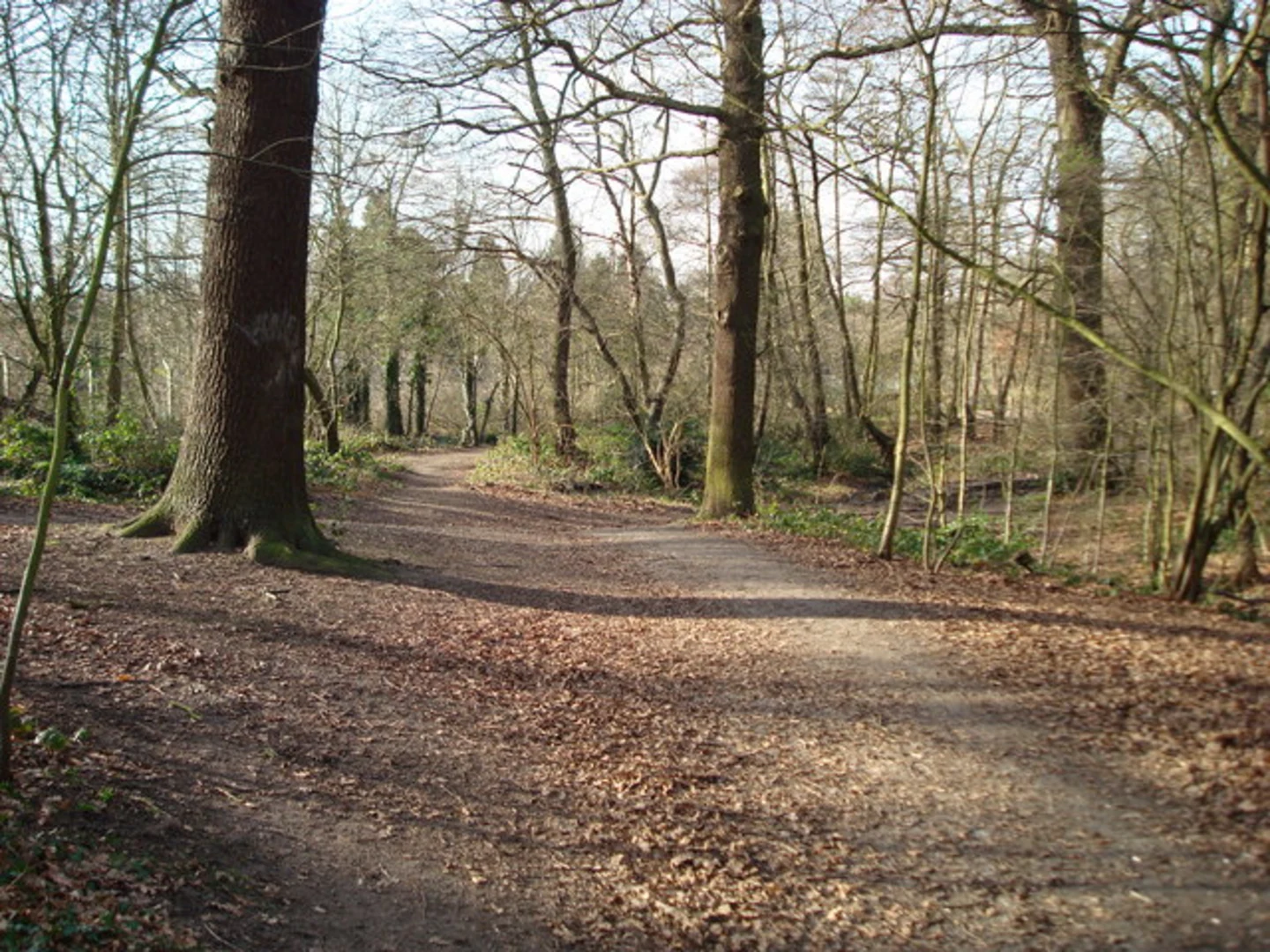 An image depicting the trail Jubilee Country Park, Petts Wood, Little Wood and Spring Shaw Walk and its surrounding area.