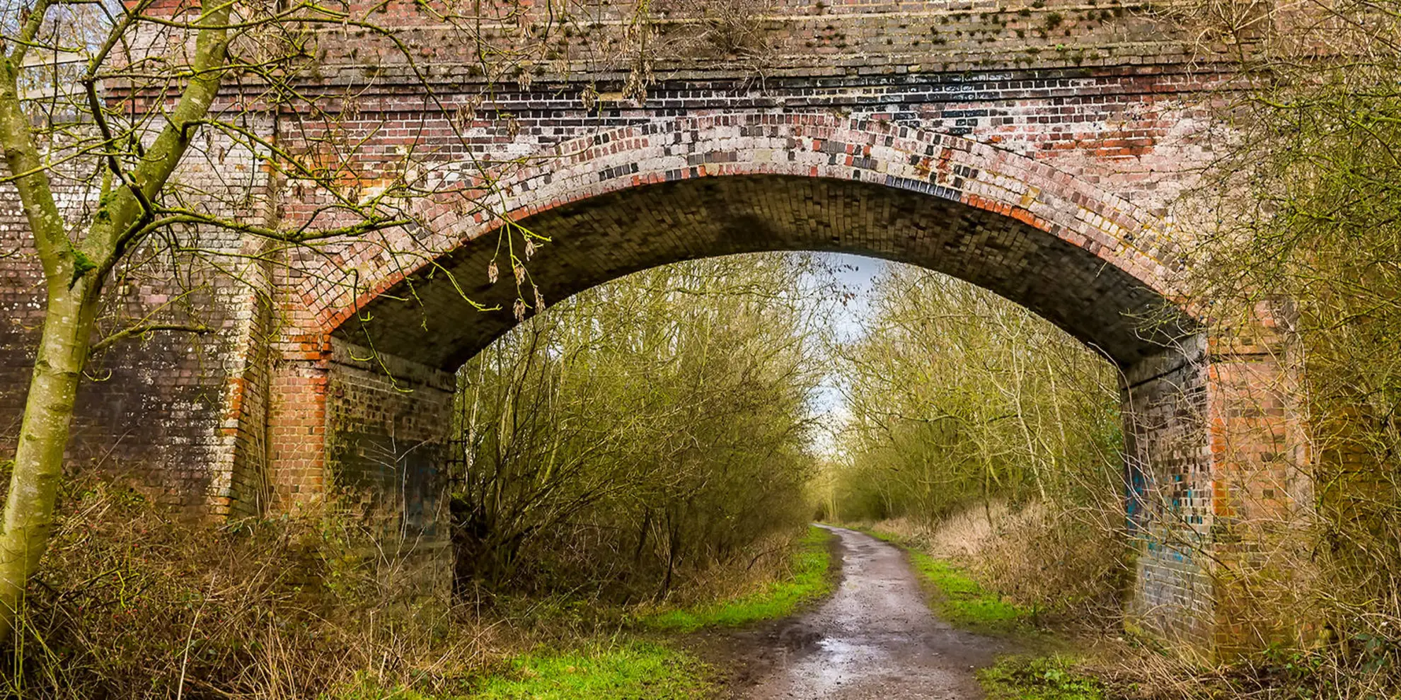 An image depicting the trail Brampton and the Bure Valley from Buxton and its surrounding area.