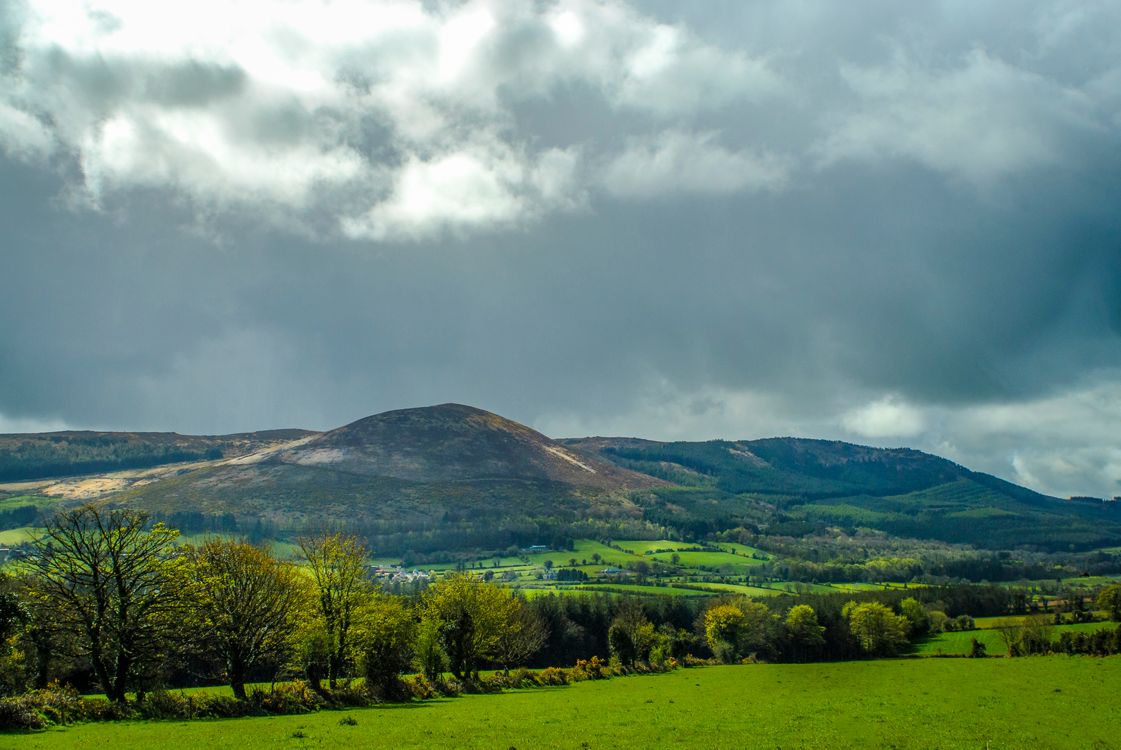 An image depicting the trail Ballyhoura - Garanne Loop and its surrounding area.