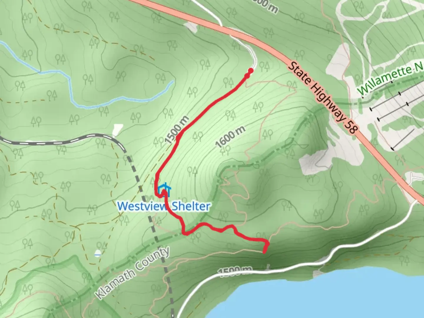 An image depicting the trail Forest Road Walk and its surrounding area.