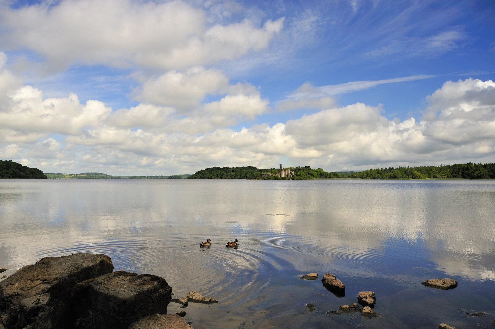 An image depicting the trail Lough Key - Drummans Island Trail and its surrounding area.