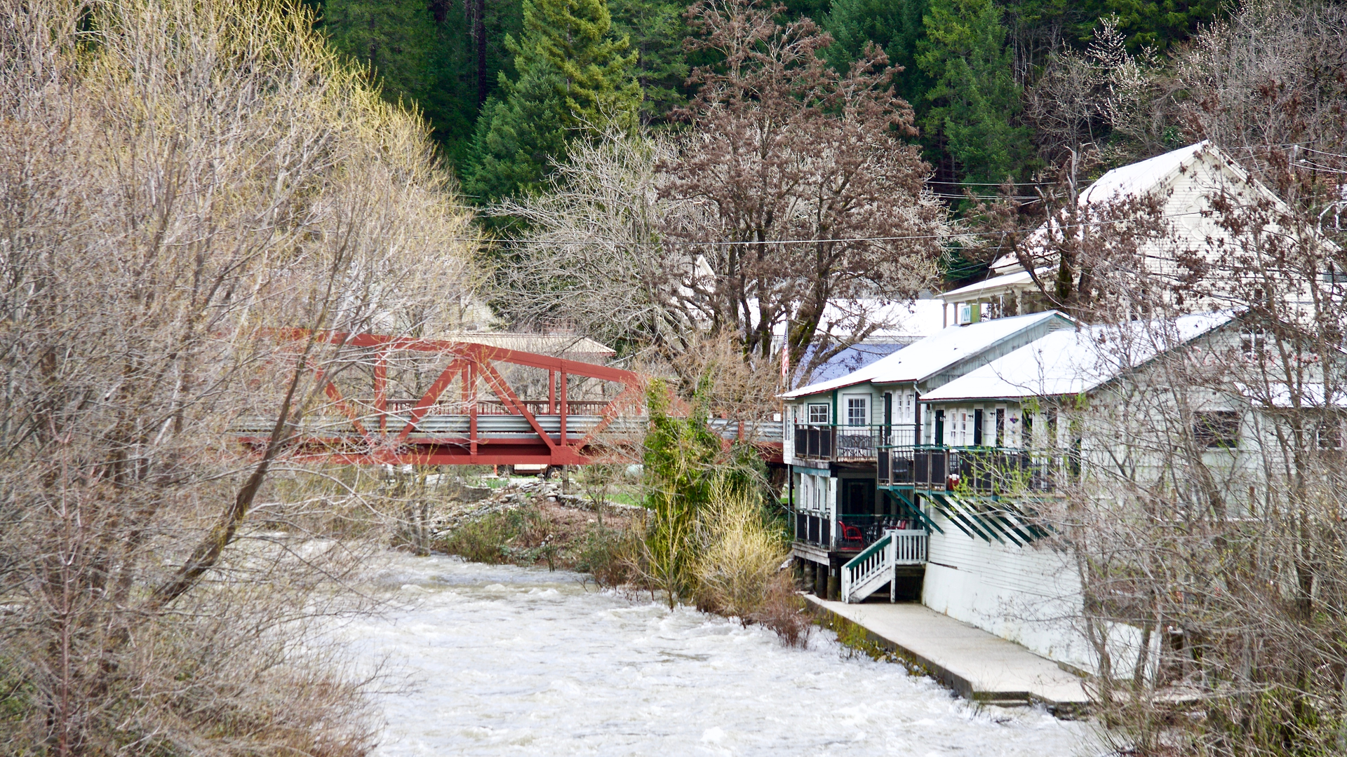 An image depicting the trail Downie River Trail and its surrounding area.