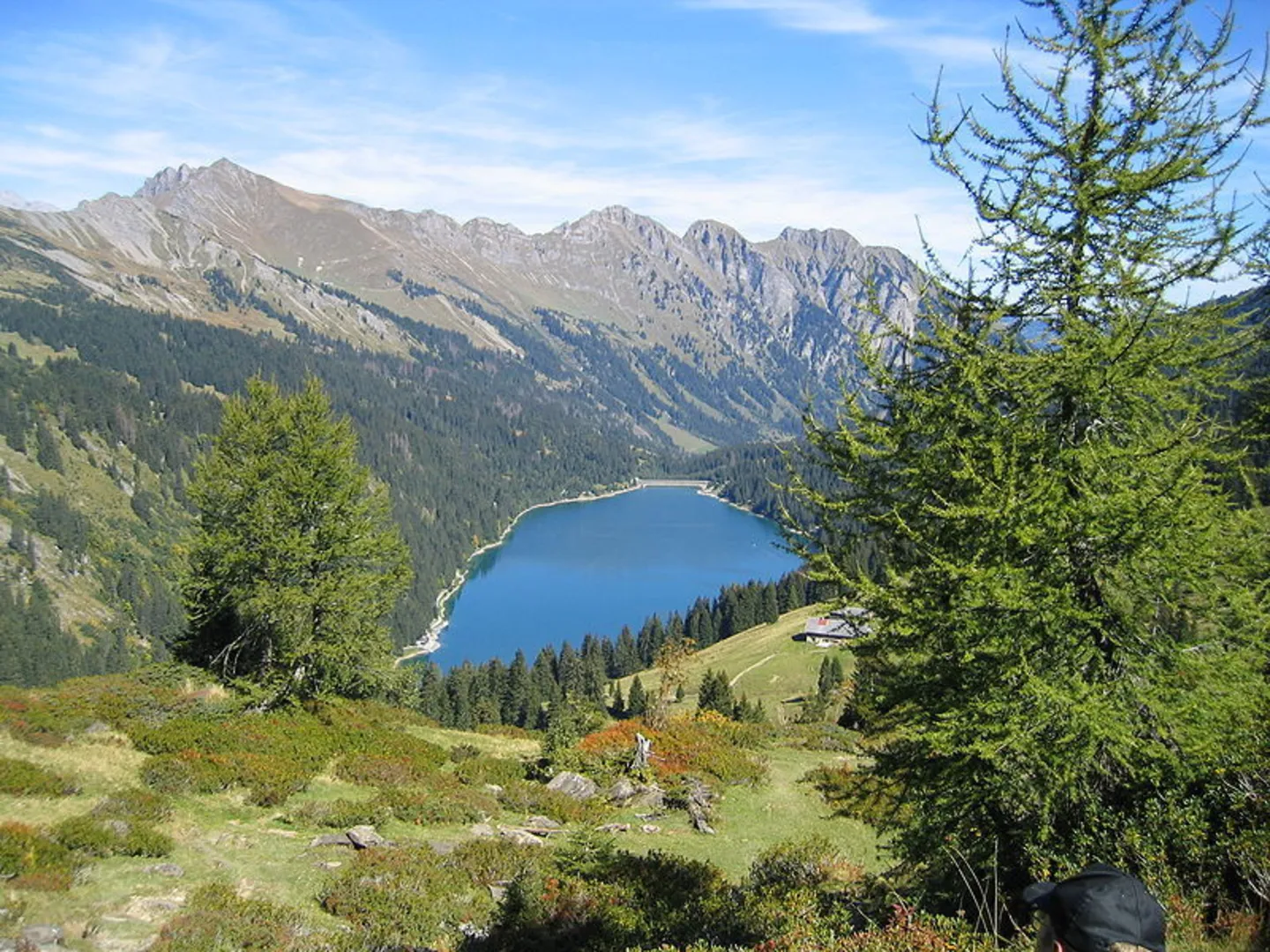 An image depicting the trail Col du Pillon - La Palette Loop Trail and its surrounding area.