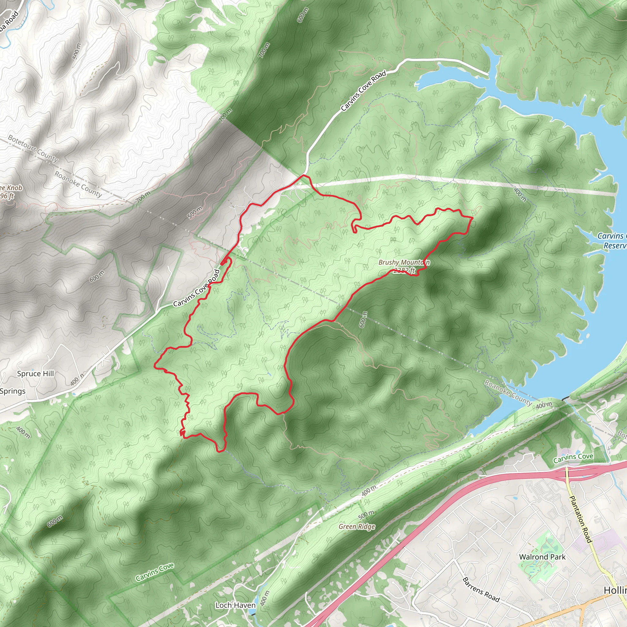 Brushy Mountain Loop via Four Gorges mobile static map