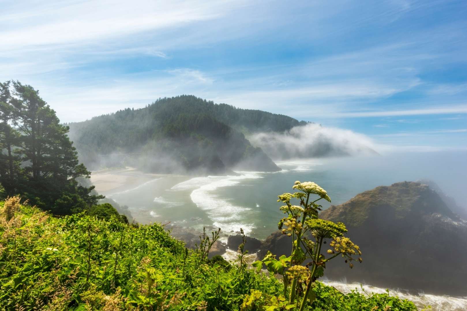 An image depicting the trail Heceta Lighthouse Trail and its surrounding area.