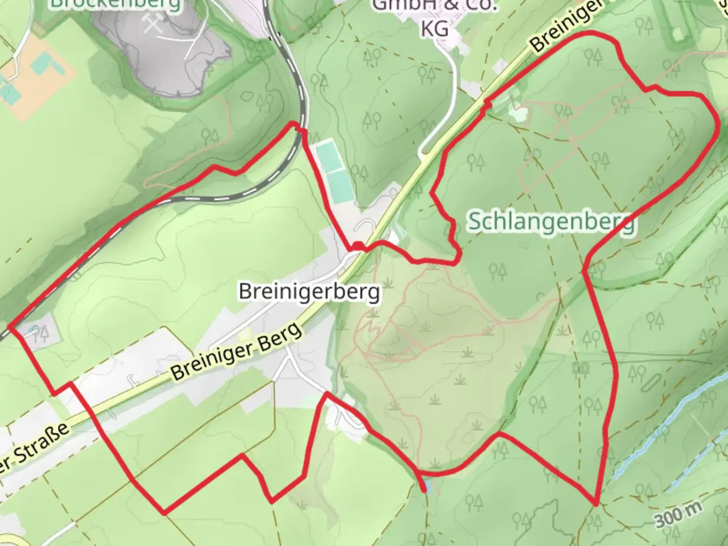 An image depicting the trail Schlangenberg via Rehhag and its surrounding area.