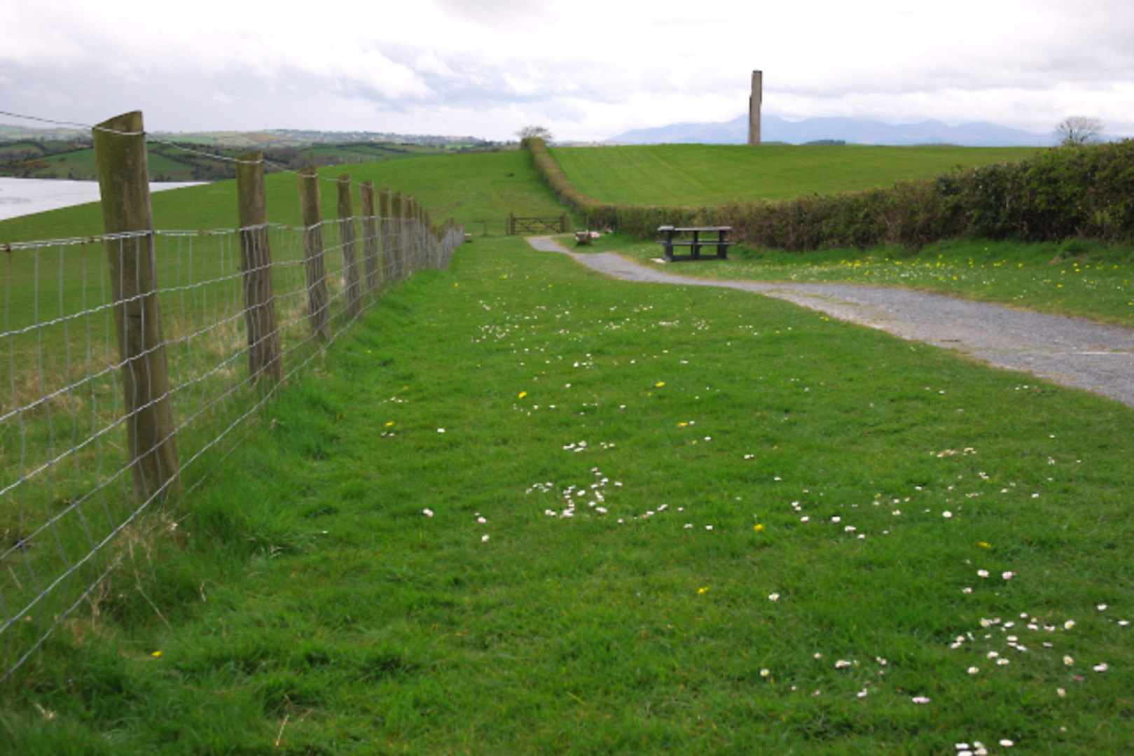 An image depicting the trail Delamont Corbally Walk and its surrounding area.