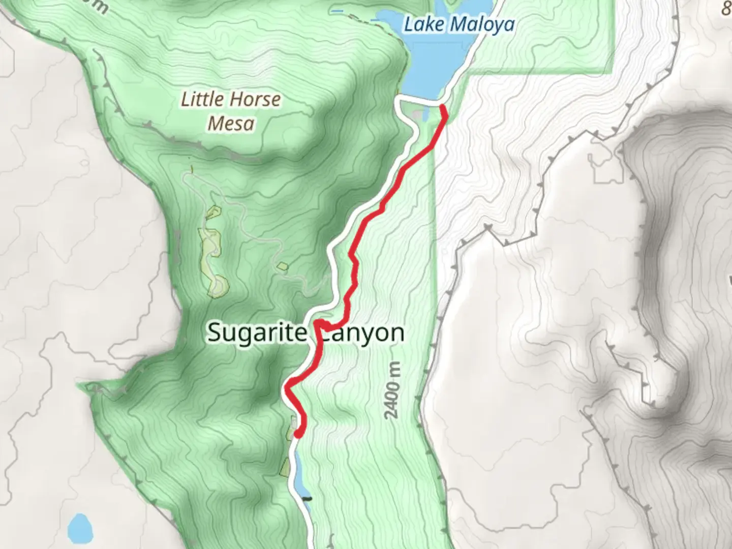 An image depicting the trail Lake Maloya via Chicorica Trail - Lake Alice Campground and its surrounding area.
