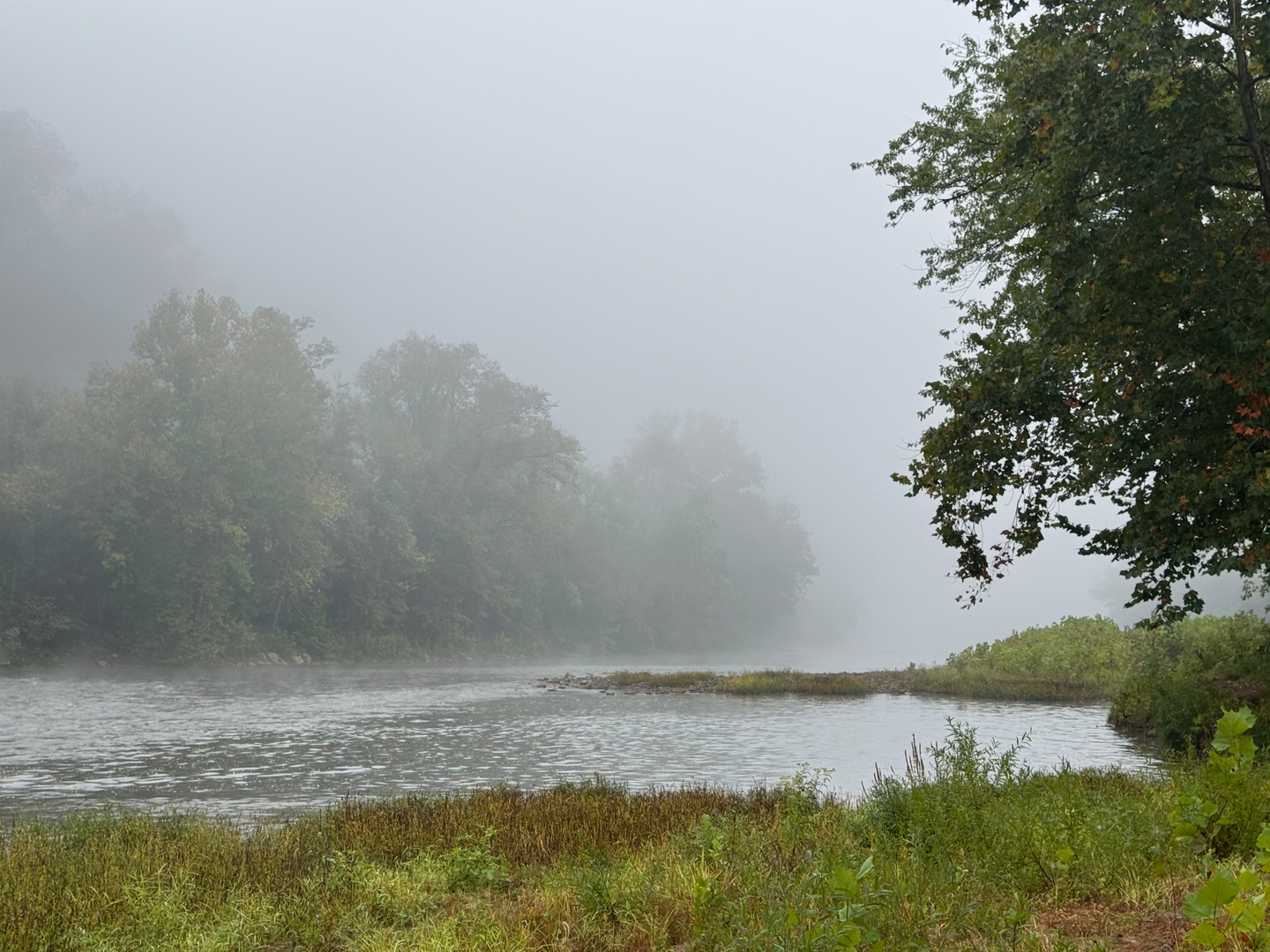 An image depicting the trail Youghiogheny River and its surrounding area.
