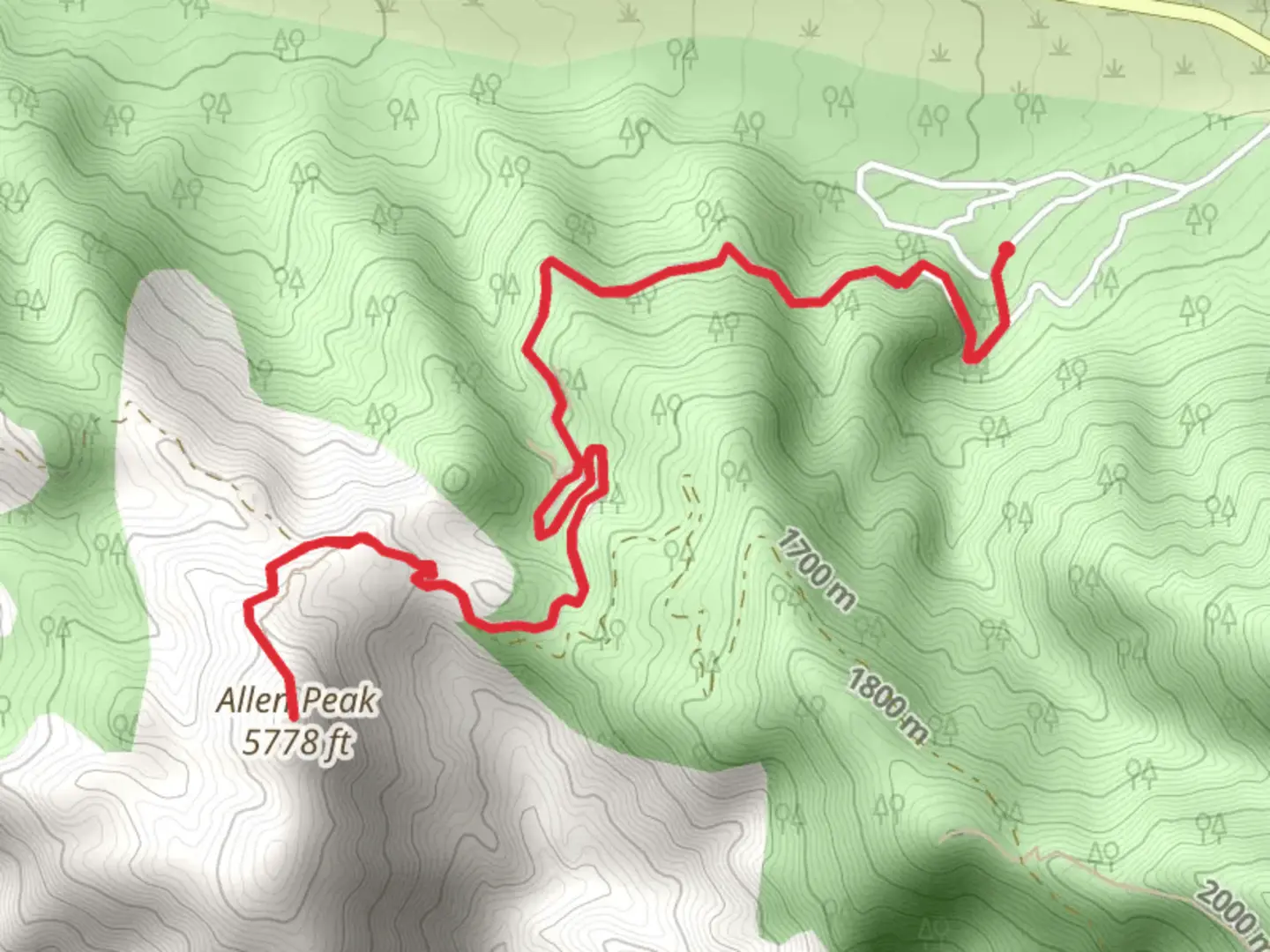 An image depicting the trail Allen Peak Out and Back and its surrounding area.