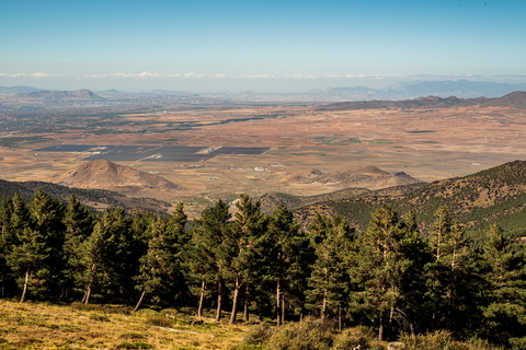 An image depicting the trail Ragua - Lagunilla Seca PR A 334 and its surrounding area.