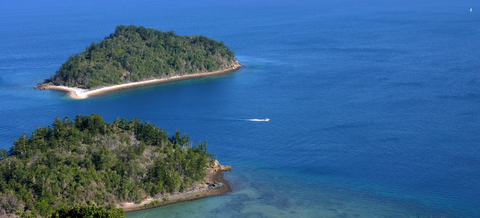 An image depicting the trail Bauer Bay – Paddle Bay Walk and its surrounding area.