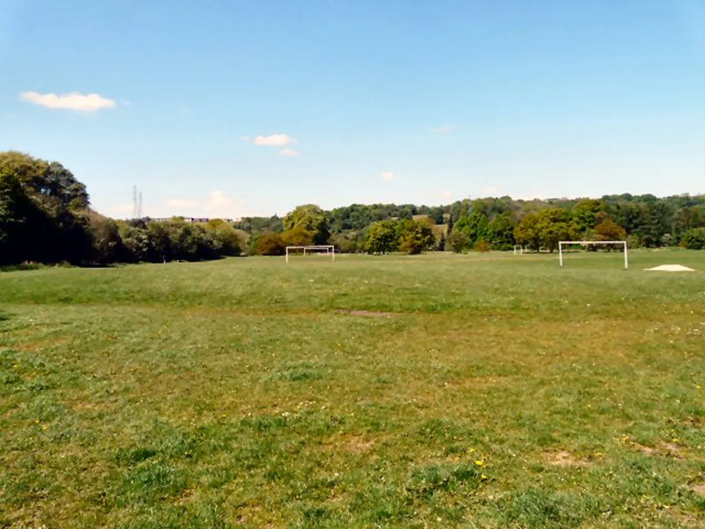 An image depicting the trail Brabyns Park Walk and its surrounding area.