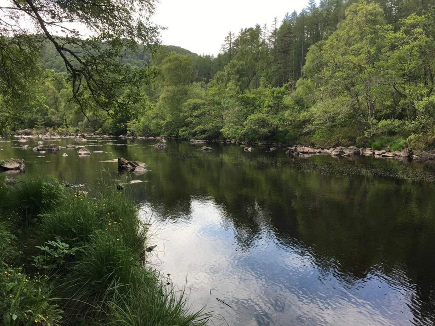 An image depicting the trail Rogie Falls via Salmon Trail and its surrounding area.