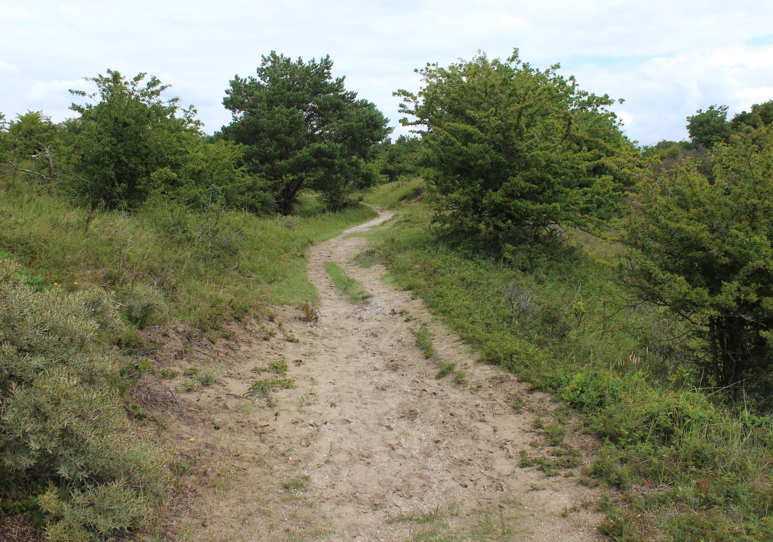 An image depicting the trail Elsberg via Burgemeester Bloemers Weg and Tunnekes Weg and its surrounding area.