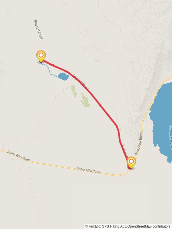 Bog Hot Creek - Denio-Adel Road