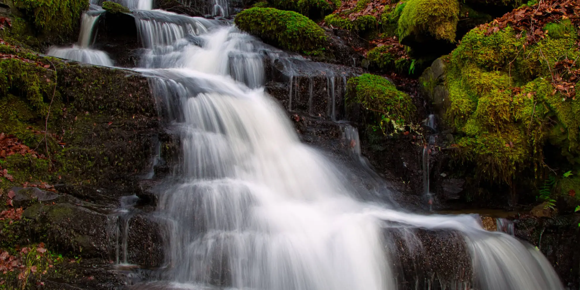 An image depicting the trail Birks of Aberfeldy Circular Walk and its surrounding area.