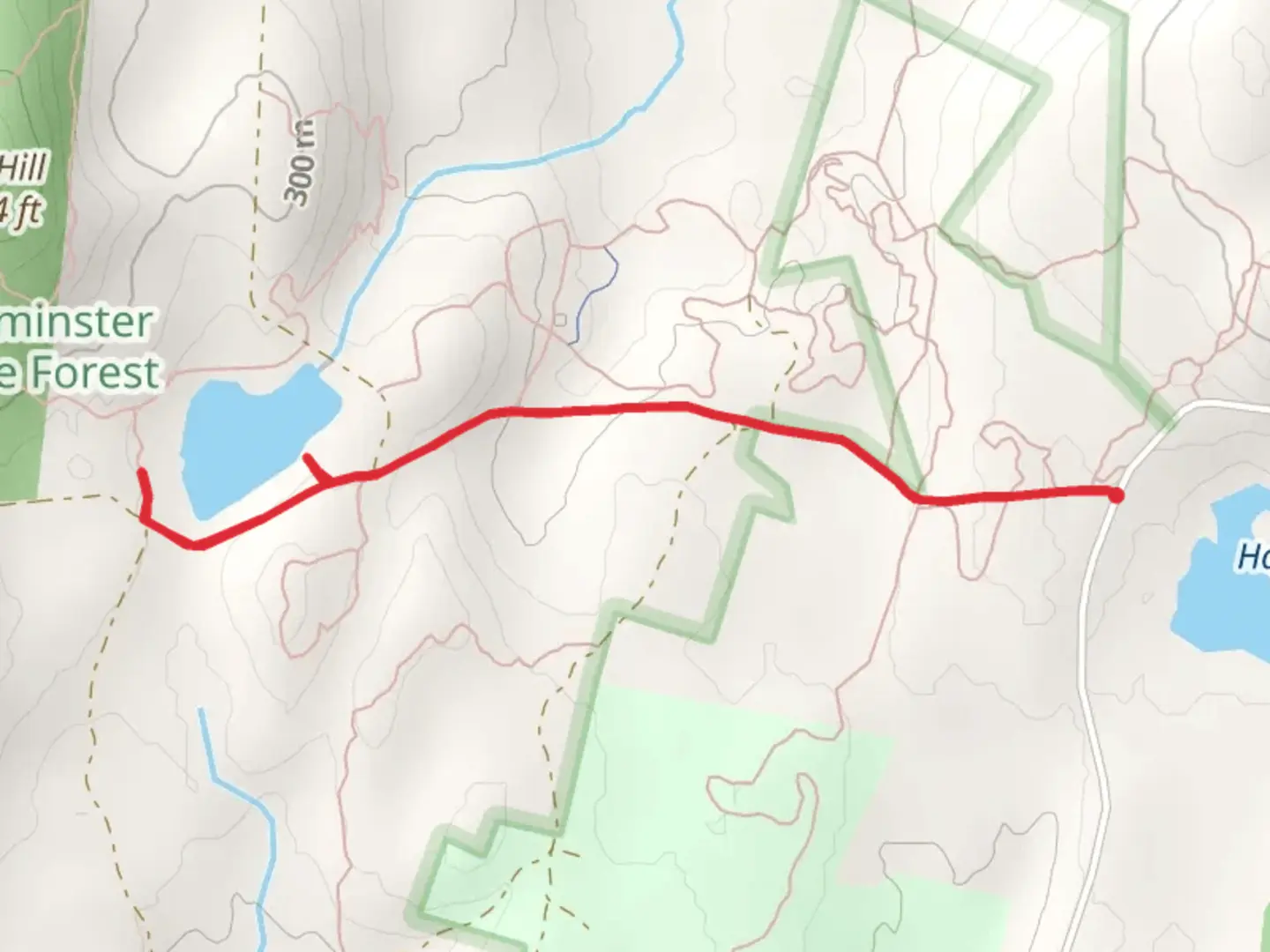 An image depicting the trail Rocky Pond Trail via Parmenter Street and its surrounding area.