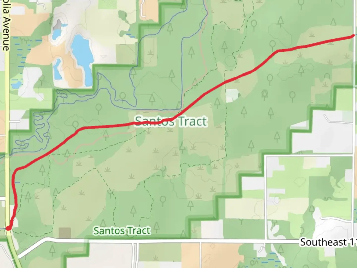 An image depicting the trail South Magnolia Avenue - Fisher Cemetery and its surrounding area.