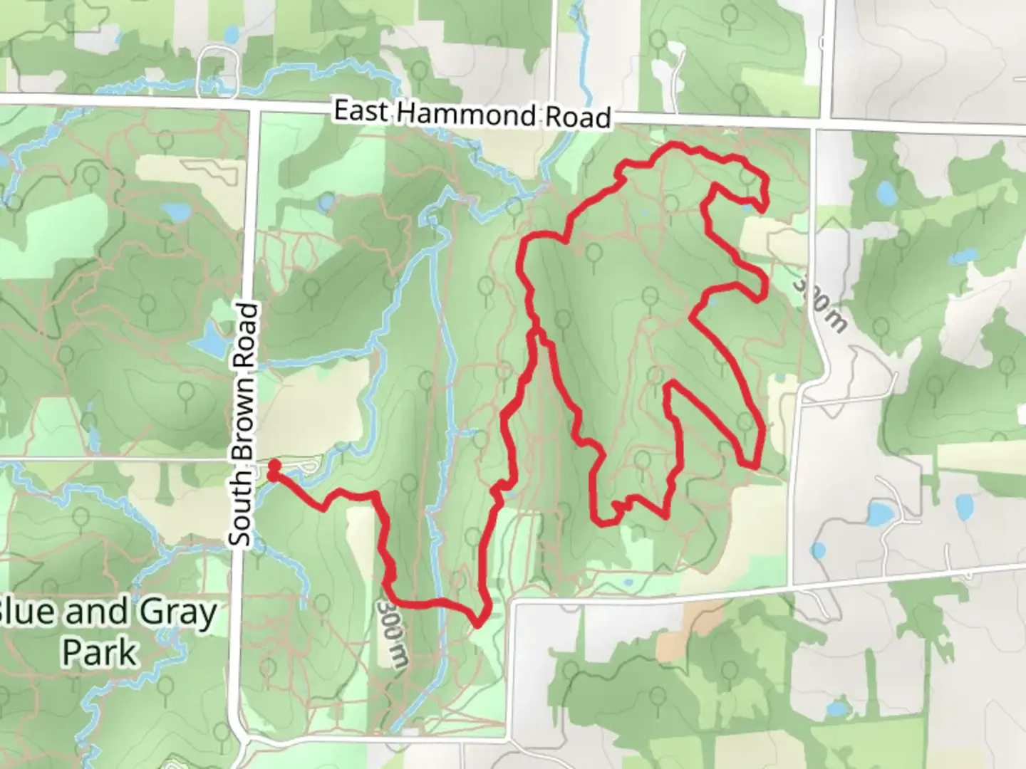 An image depicting the trail The Red Route - Blue and Gray Park Loop and its surrounding area.