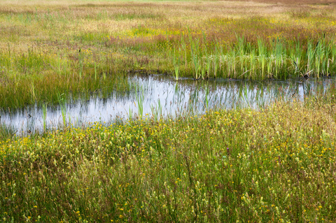 Landgoed Tongeren Loop