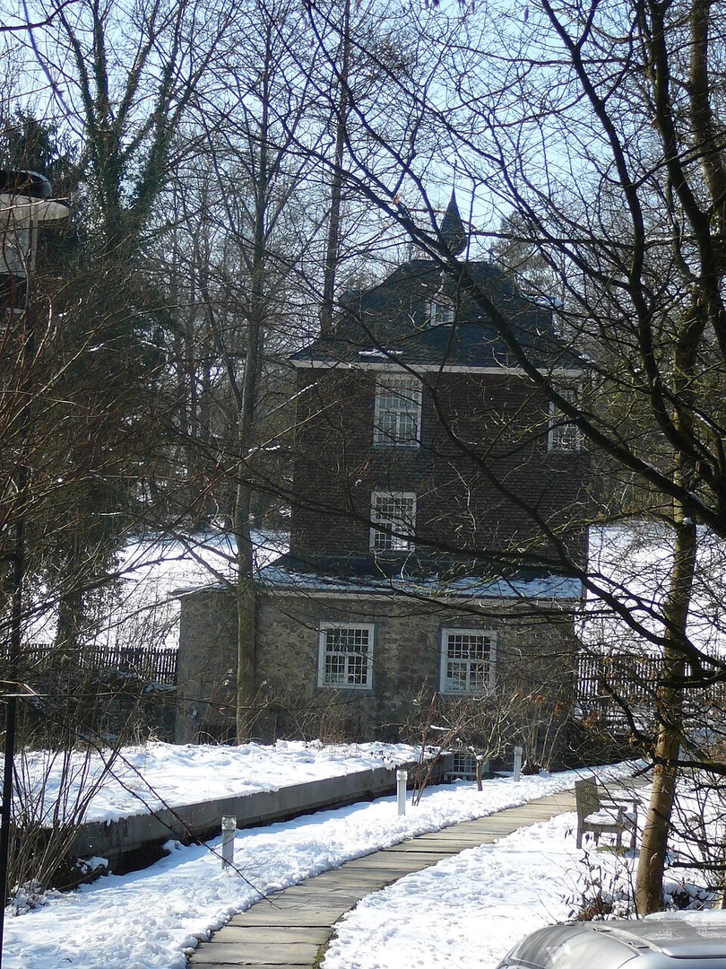 An image depicting the trail Lüntenbeck Busch and Schloss Loop and its surrounding area.