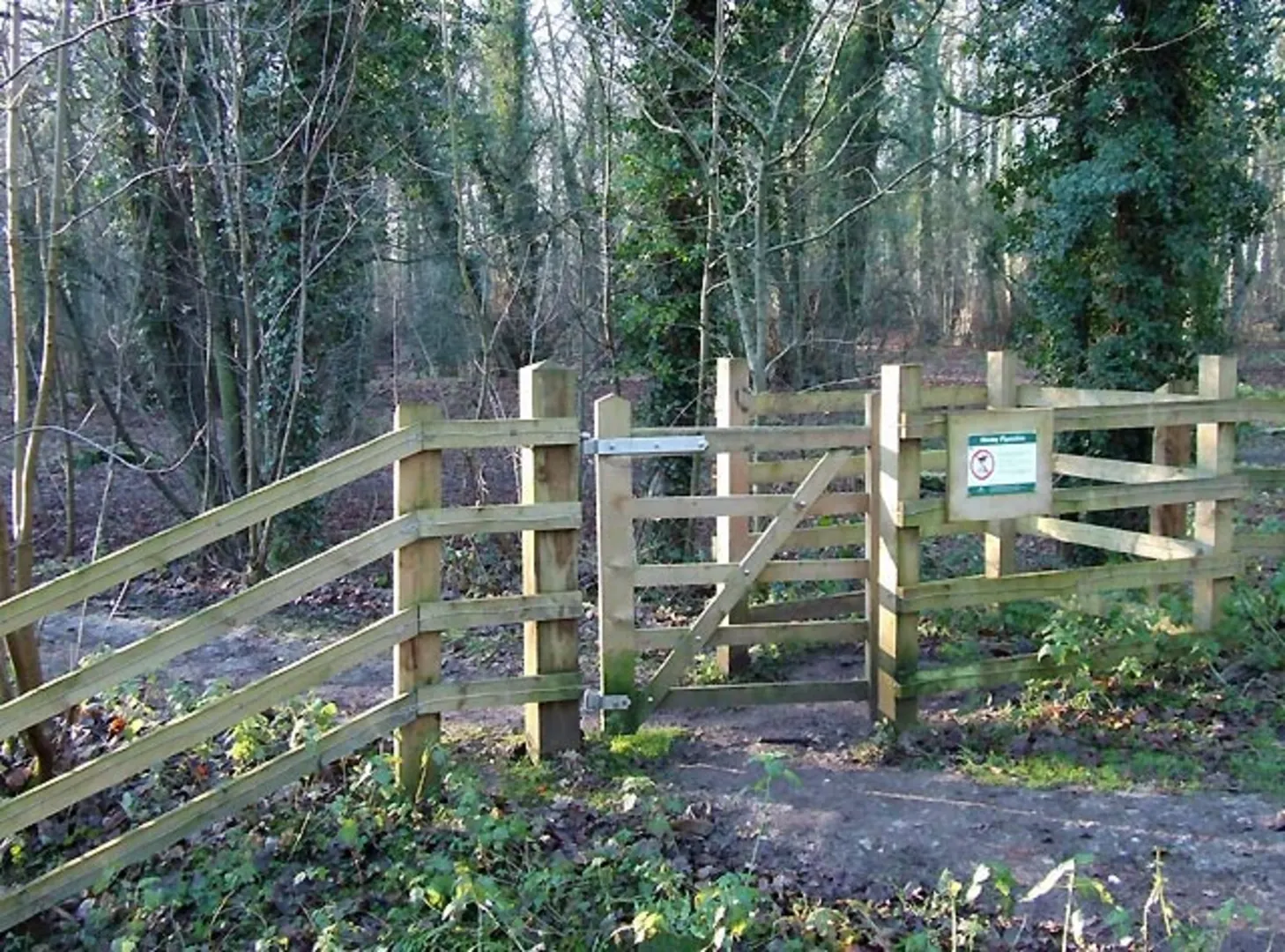 An image depicting the trail Himley Plantation Loop and its surrounding area.