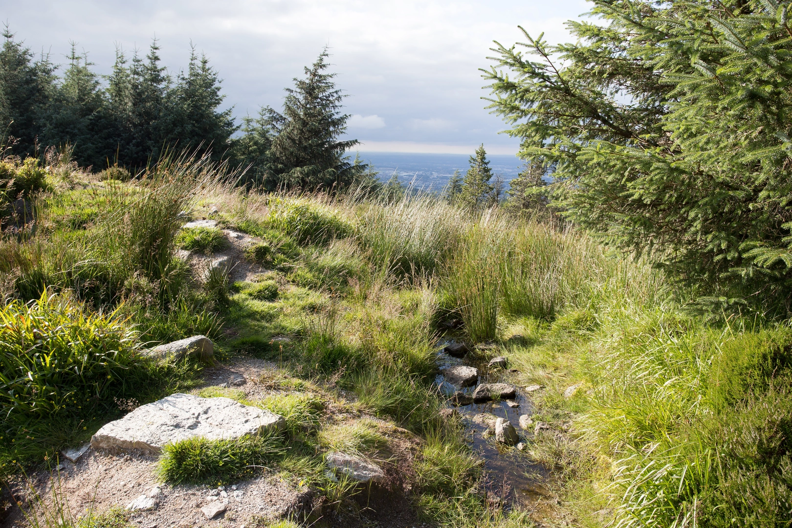 An image depicting the trail Cruagh - Sli na Slainte and its surrounding area.