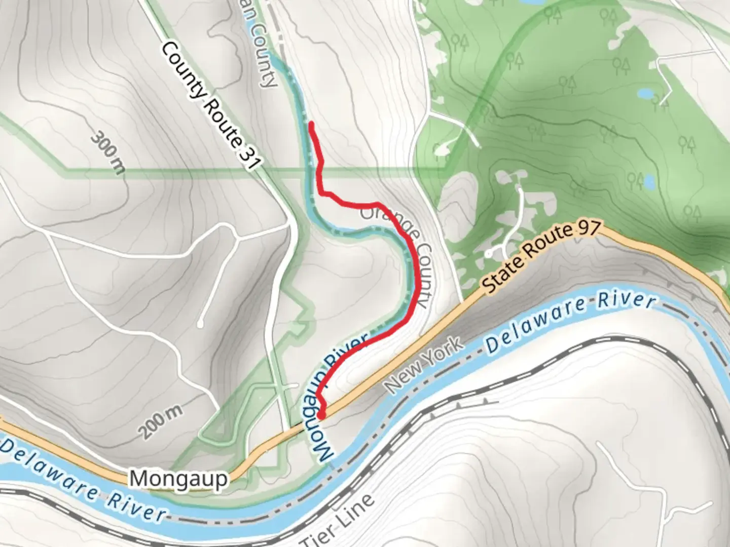 An image depicting the trail Mongaup River and its surrounding area.