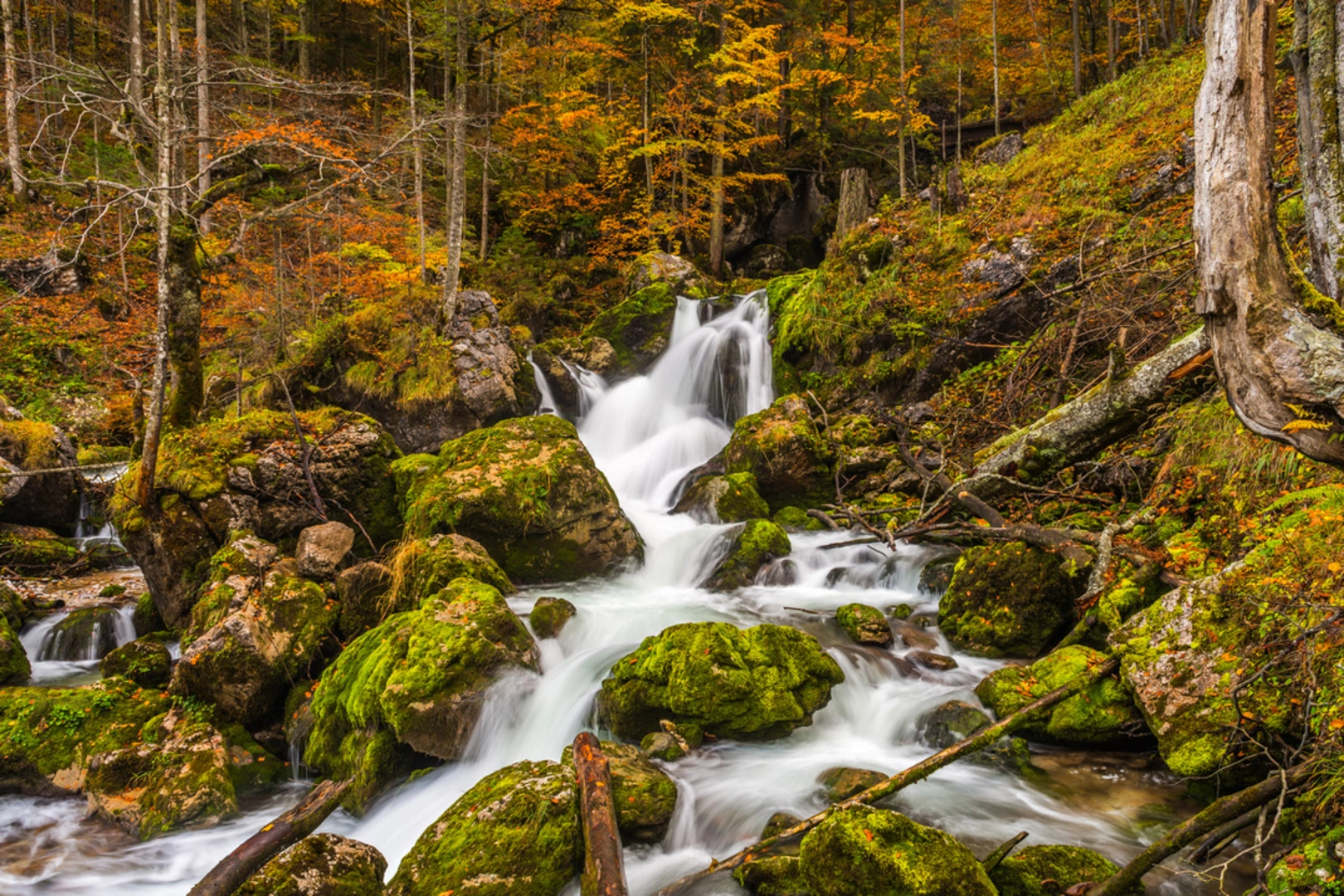 An image depicting the trail Hartelsgraben and its surrounding area.