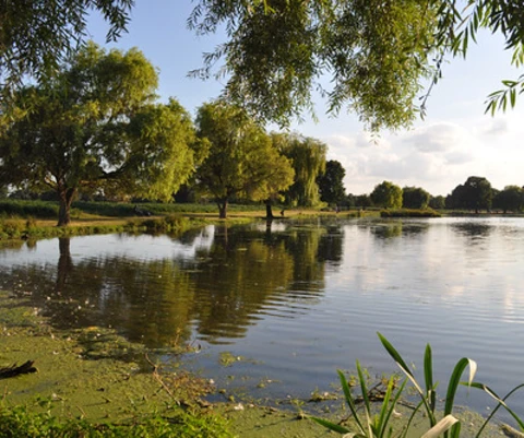 An image depicting the trail Kingston to Feltham Walk via Diana Fountain and its surrounding area.