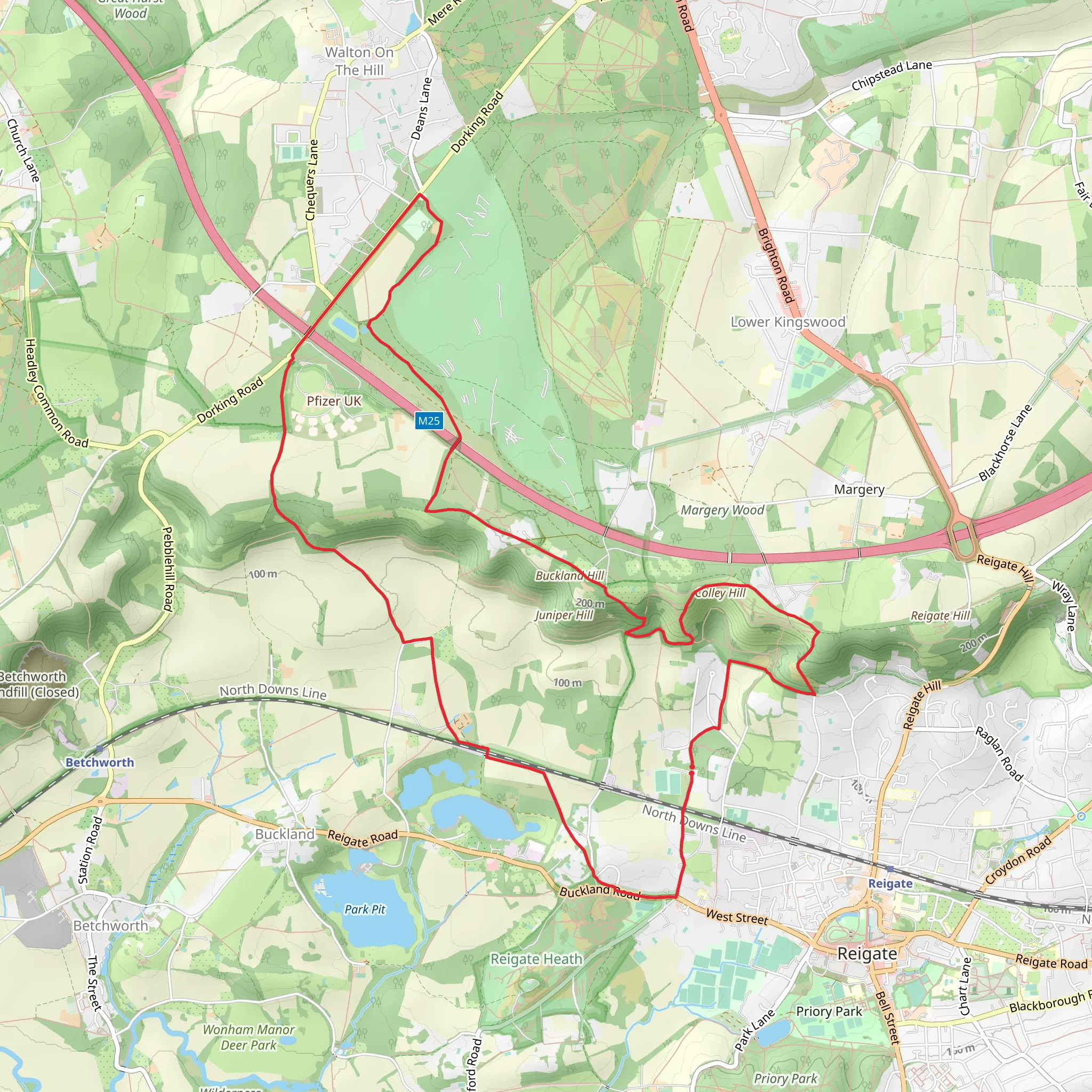 Dawcombe Nature Reserve, Buckland Hill and Colley Hill Loop mobile static map