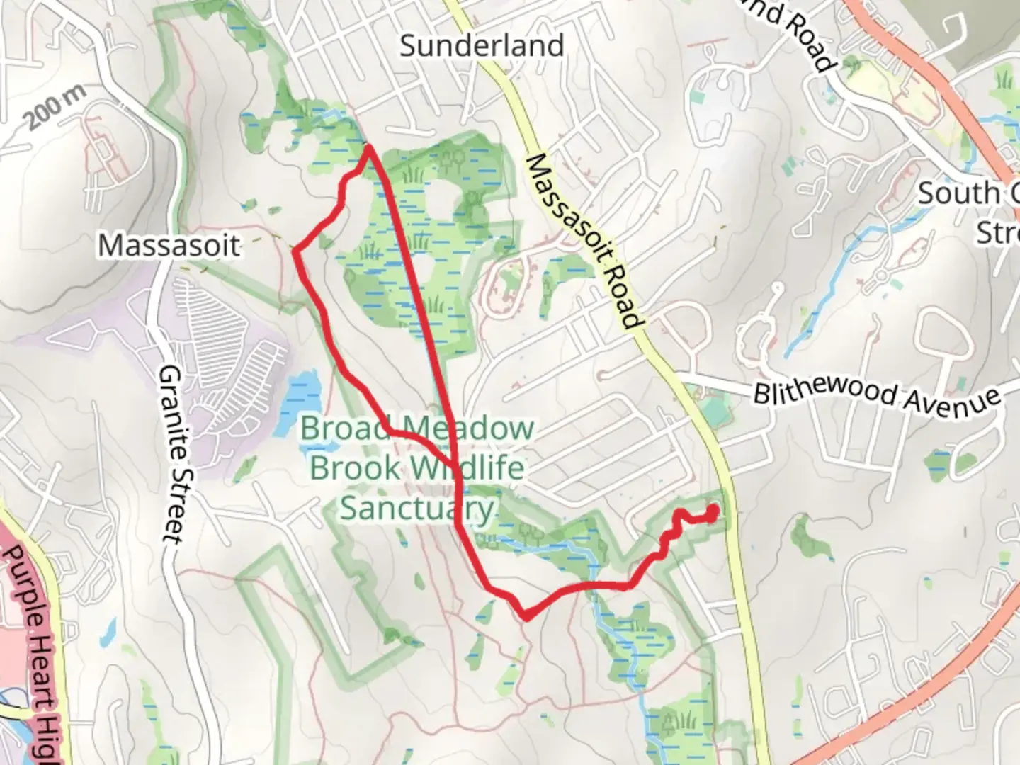 An image depicting the trail Troiano Brookside Trail via Holdredge Trail and its surrounding area.