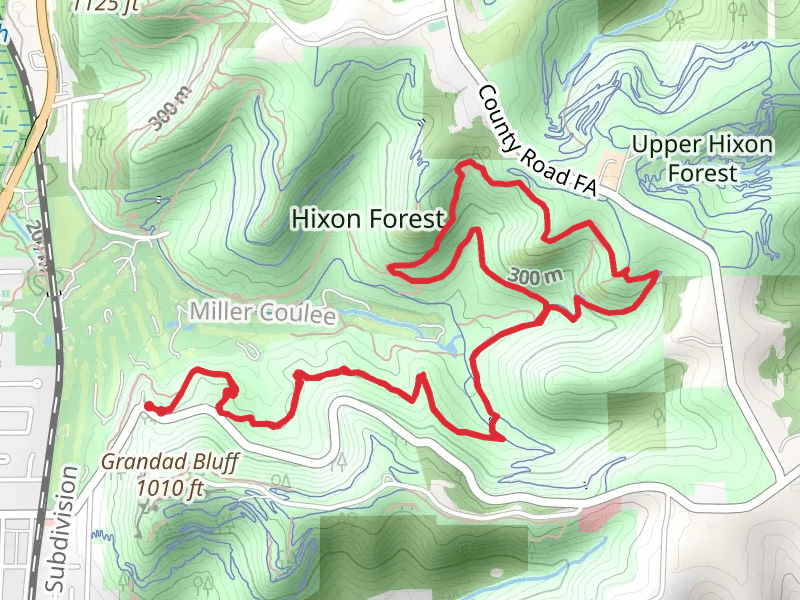 Birch and Hickory and Bicentennial Loop Trail