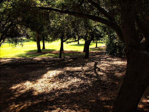 An image depicting the trail Arroyo Verde Park Loop and its surrounding area.