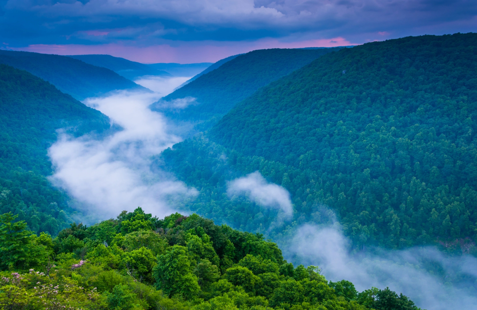 An image depicting the trail Pointy Knob Trail and its surrounding area.