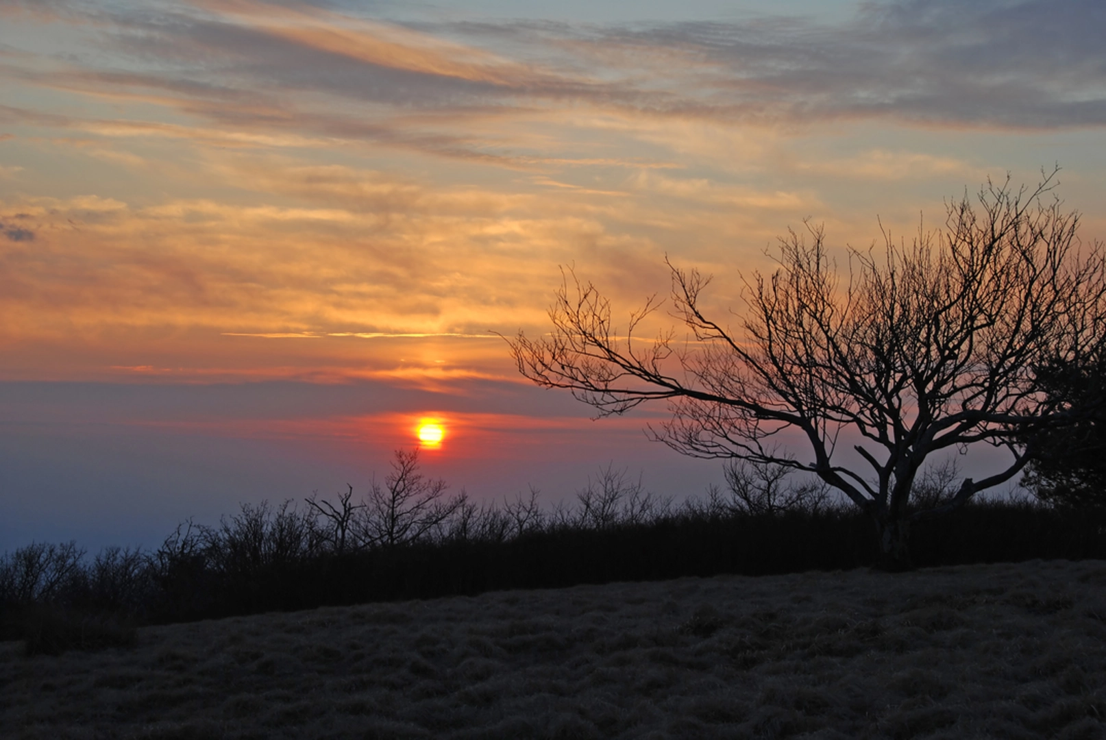 An image depicting the trail Gregory Ridge Trail to Gregory Bald and its surrounding area.