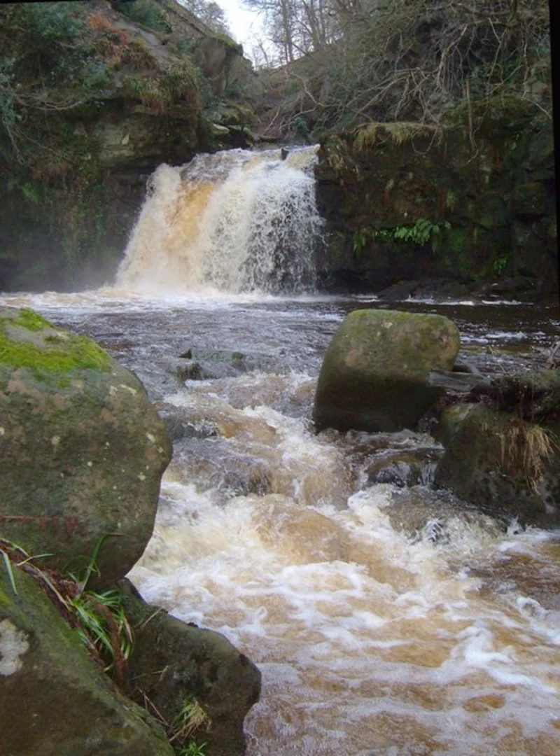 An image depicting the trail Smithy Home Wood and Mallyan Spout Waterfall Loop and its surrounding area.