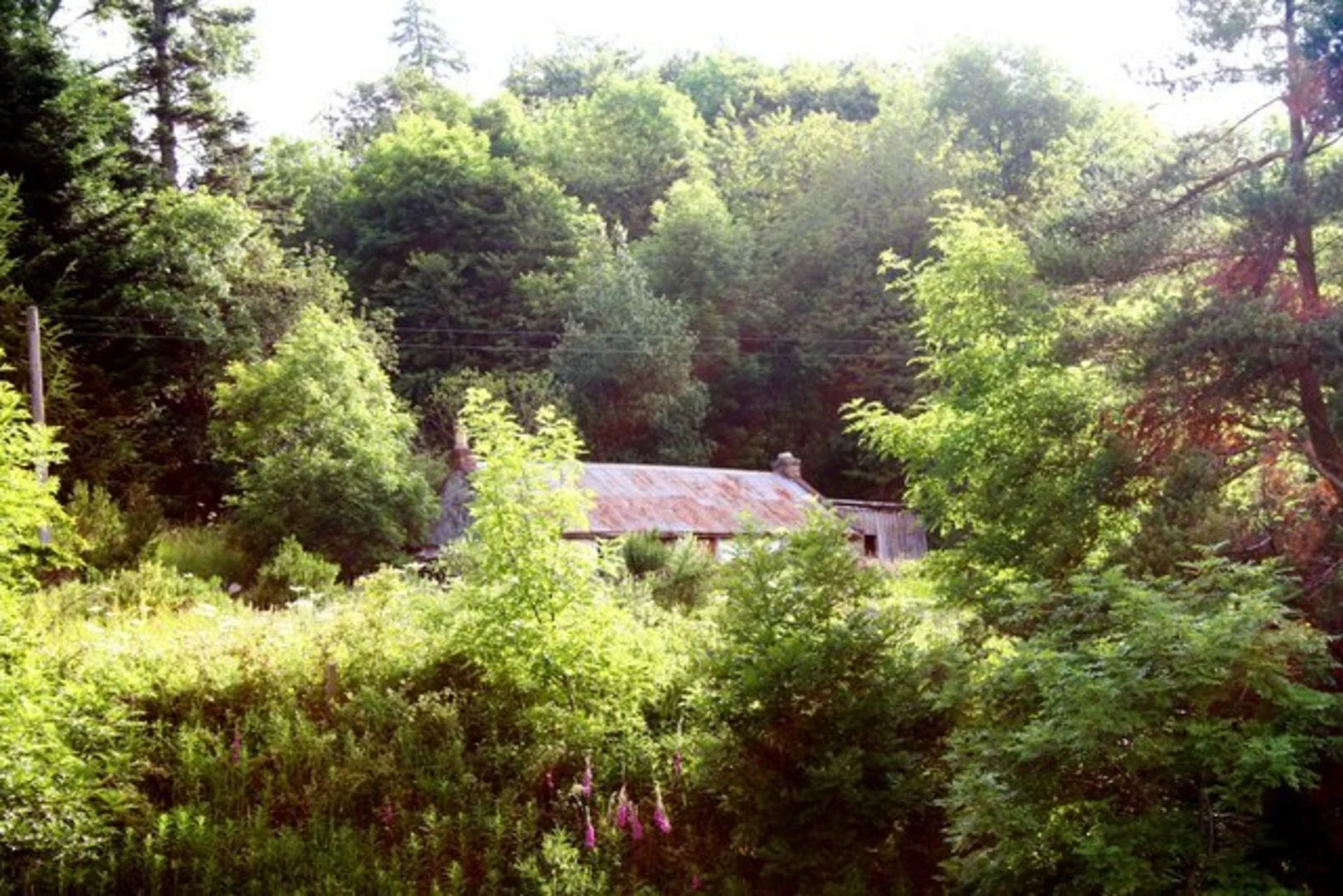An image depicting the trail Ferny Knowe Loop - Huntly and its surrounding area.