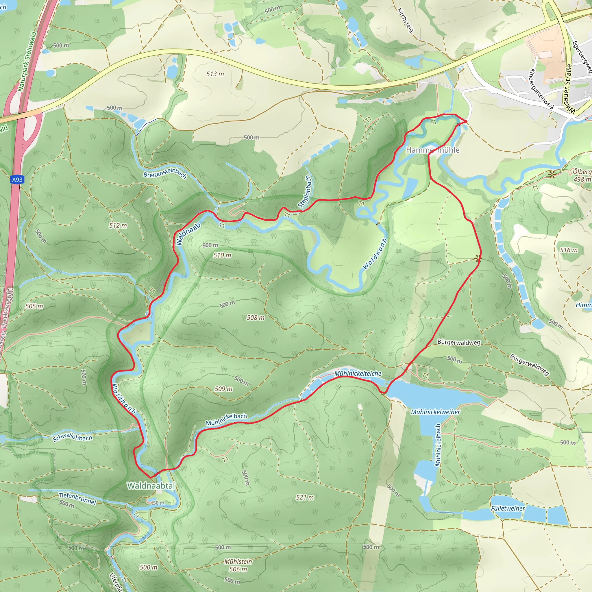 Kammerwagen, Amboss, Mühlnickelbach and Mühlnickelweiher Loop via Burgenweg mobile static map